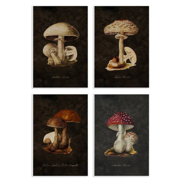 Stupell Industries Mushroom Genus Studies by Tina Higgins Designs, Inc. 4-Pieces Unframed Nature Graphic Art Print 19 in. x 13 in.