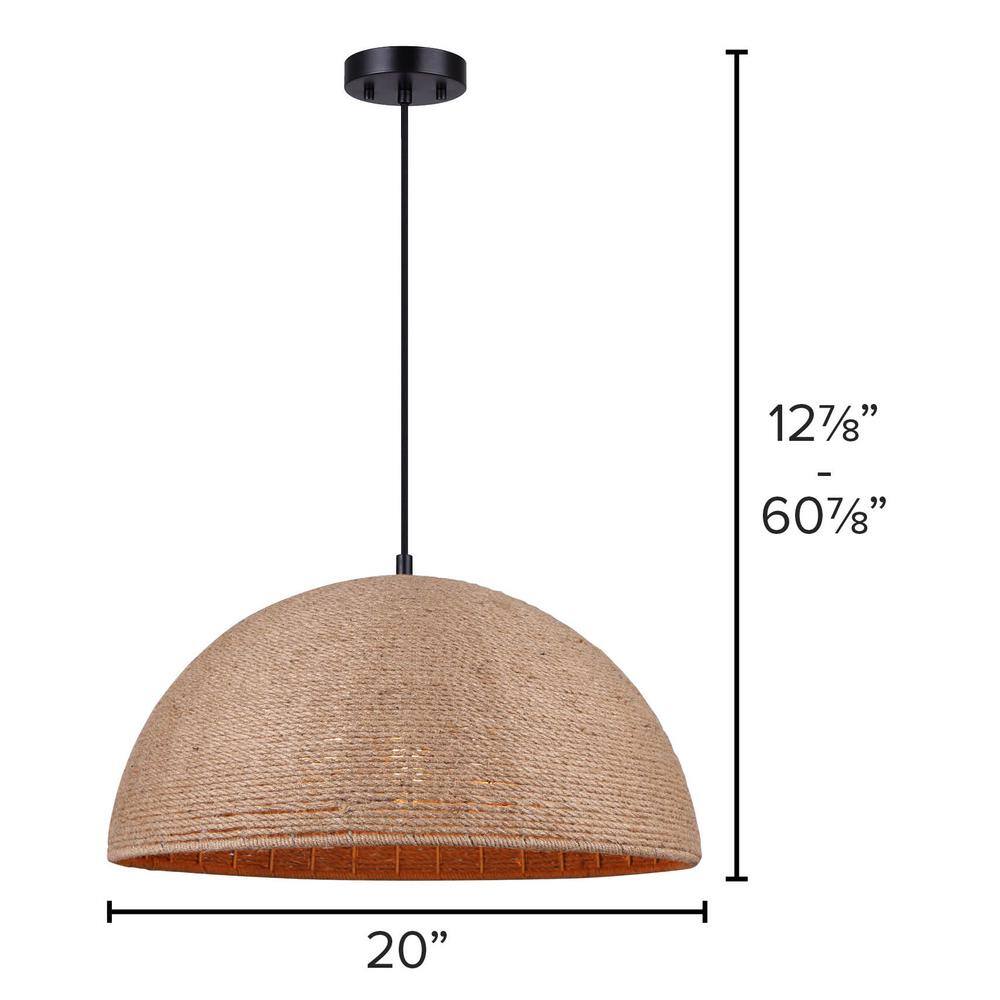 Matte Black and Rope 20" Indoor/Outdoor Pendant Light