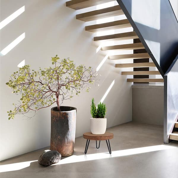 1 Tier Dark Brown Wood Round Sturdy Plant Stand Shelf with Outdoor Compatibility (10 in. H W x 7 in. H)