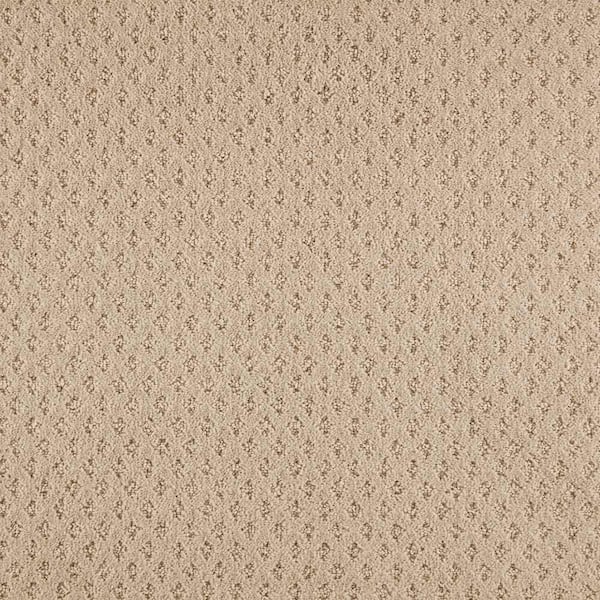Lifeproof with Petproof Technology Lilypad - Color Taupe Whisper Indoor Pattern Beige Carpet