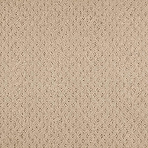 Lilypad - Color Taupe Whisper Indoor Pattern Beige Carpet