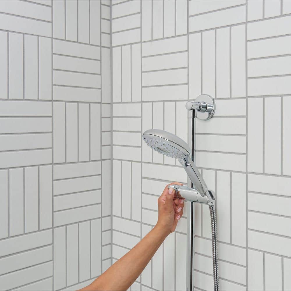 Spectra Chrome Adjustable Handheld Shower System with Filter