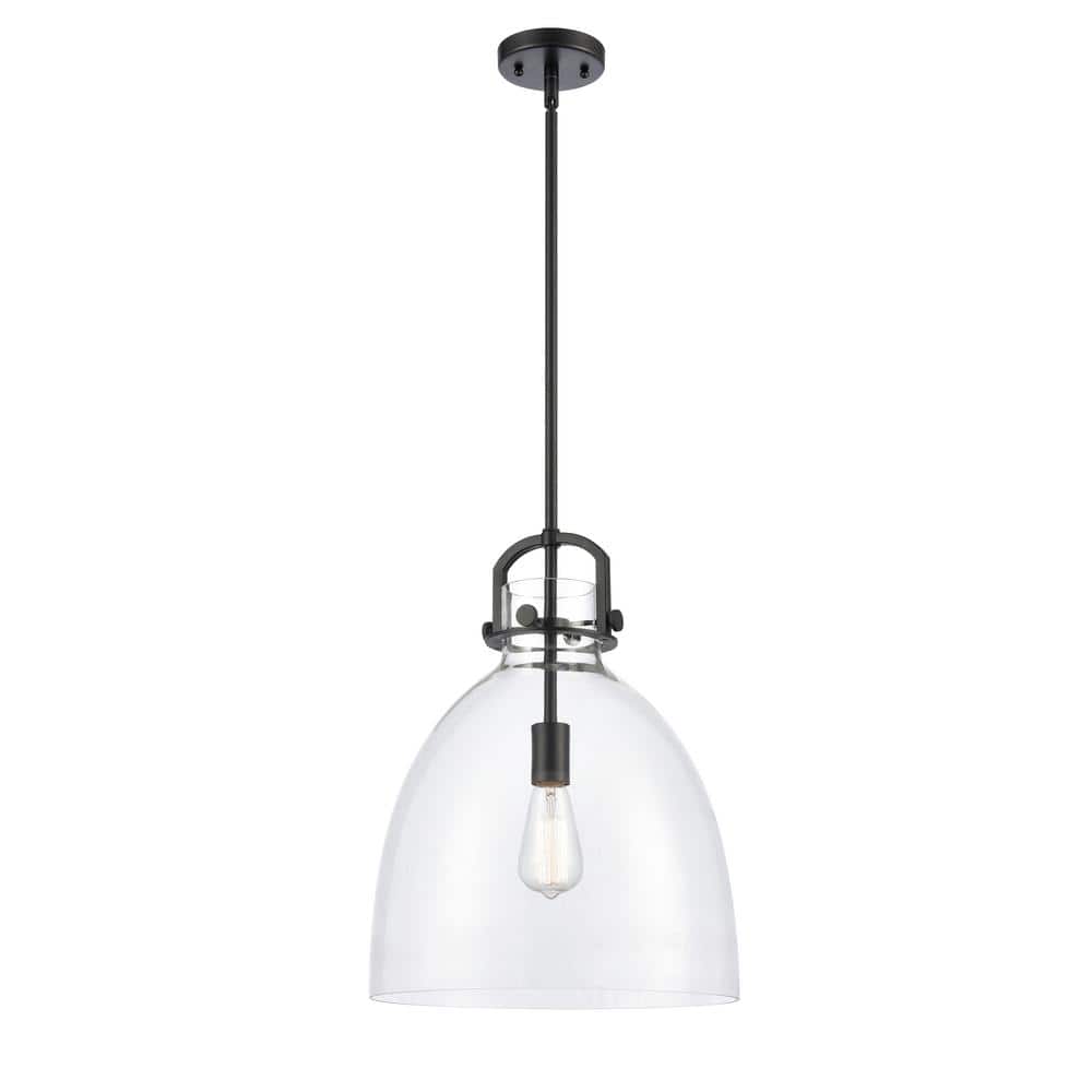 Newton Matte Black 14" Dome Glass Mini Pendant Light