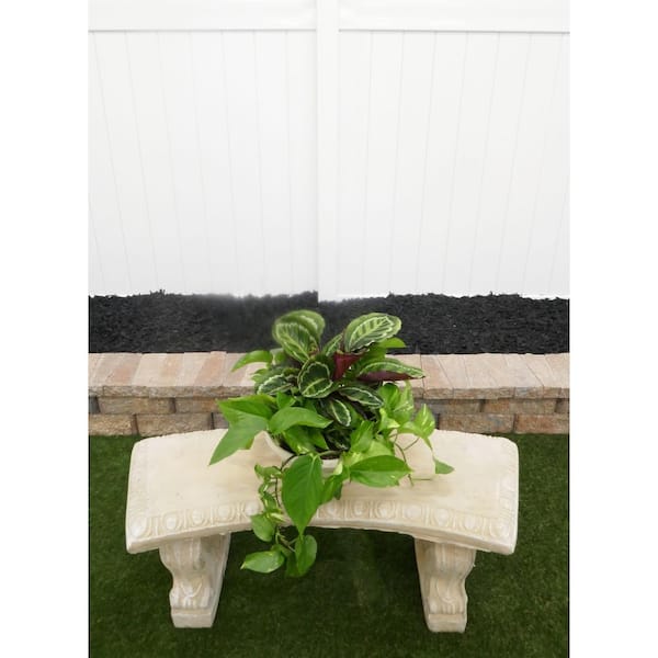 BELL NURSERY DIY Series Calathea Lancifolia and Pothos Live Indoor Houseplant Centerpiece Premium Kit