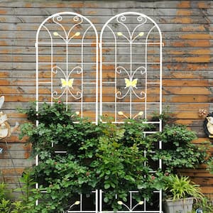 2-Pack 86.7 in. x 19.7 in. Metal Garden Trellis Outdoor Rustproof Flower Support for Climbing Plants, Cream White