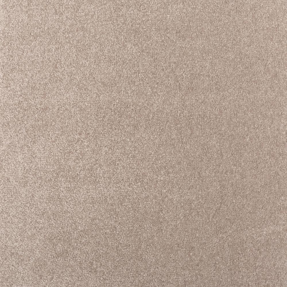 8 in. x 8 in. Texture Carpet Sample - Waking Up II - Color Delicate Slate price history on PriceWatchPro