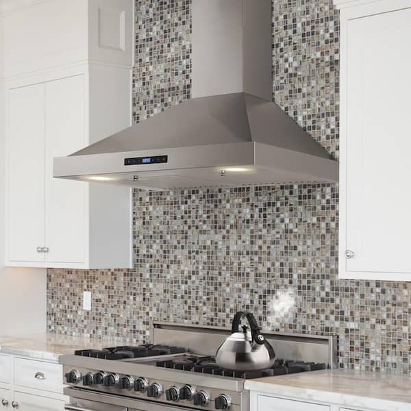 30 in. W Convertible Wall Mount Range Hood with 2 Charcoal Filters in Stainless Steel
