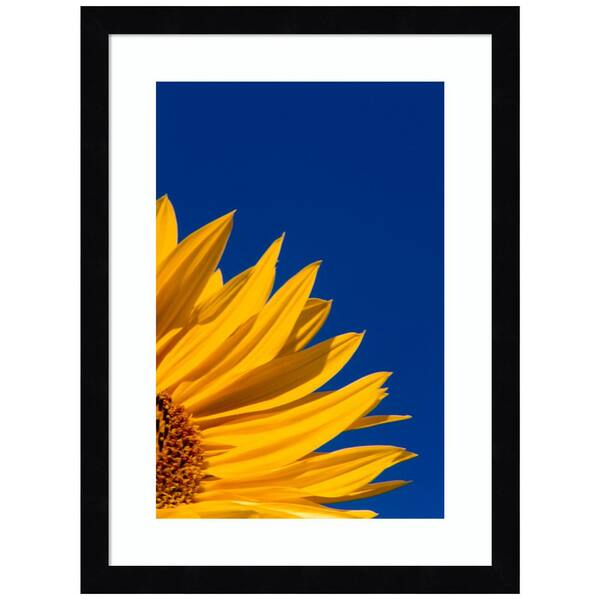 Amanti Art "Sunflower and Blue Sky" by Terry Eggers 1Piece Wood Framed