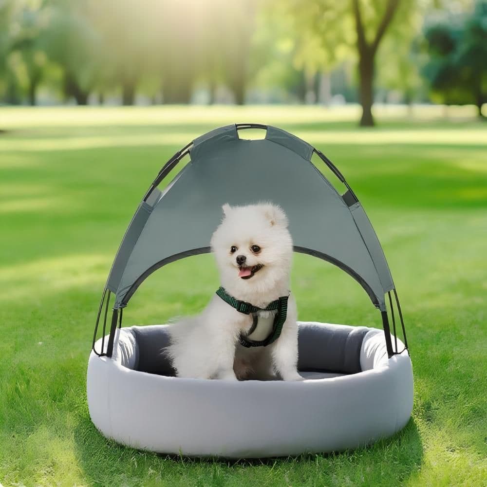 Pet Bed Elevated Dog Bed Cat Bed Outdoor Dog Cot, Small price history on PriceWatchPro
