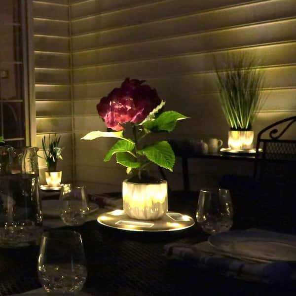 10.5 in. Outdoor Flower Planter Solar Pot Base Stand Light With Uplight Accent for Deck Pathway Patio and Walkway