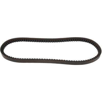 Accessory Drive Belt - Water Pump and Power Steering