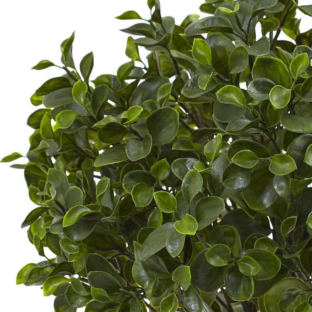 Lush Outdoor 24" UV-Resistant Peperomia in Black Pot