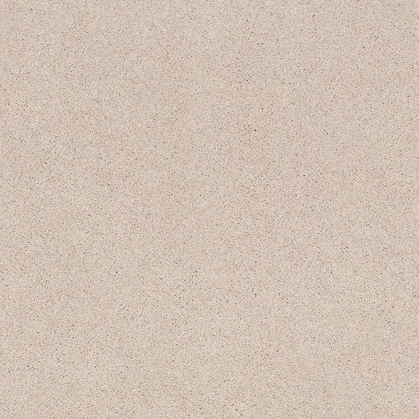 Lifeproof Coral Reef I - Pink Dawn - Beige 65.5 oz. Nylon Texture Installed Carpet