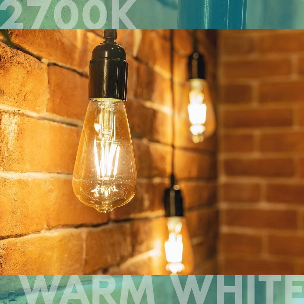 Soft White Dimmable LED Edison Bulbs with Clear Glass