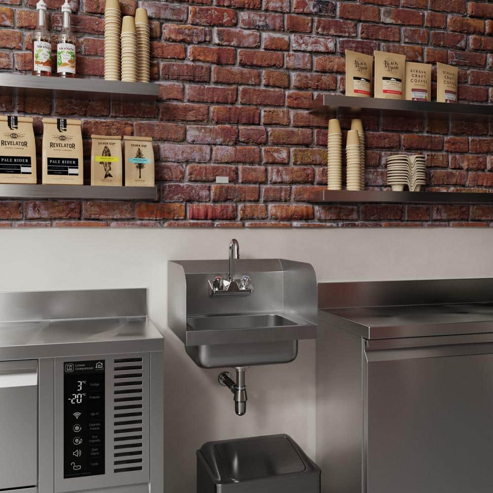 17in Stainless Steel Wall Mounted Hand Sink with Gooseneck Faucet