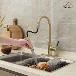 Single Handle Pull Down Sprayer Kitchen Faucet with Advanced Spray, Pull Out Spray Wand, and Deckplate in Brushed Gold