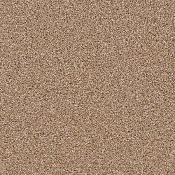 TrafficMaster Blazer Candlewood Texture 18 in. x 18 in. Carpet