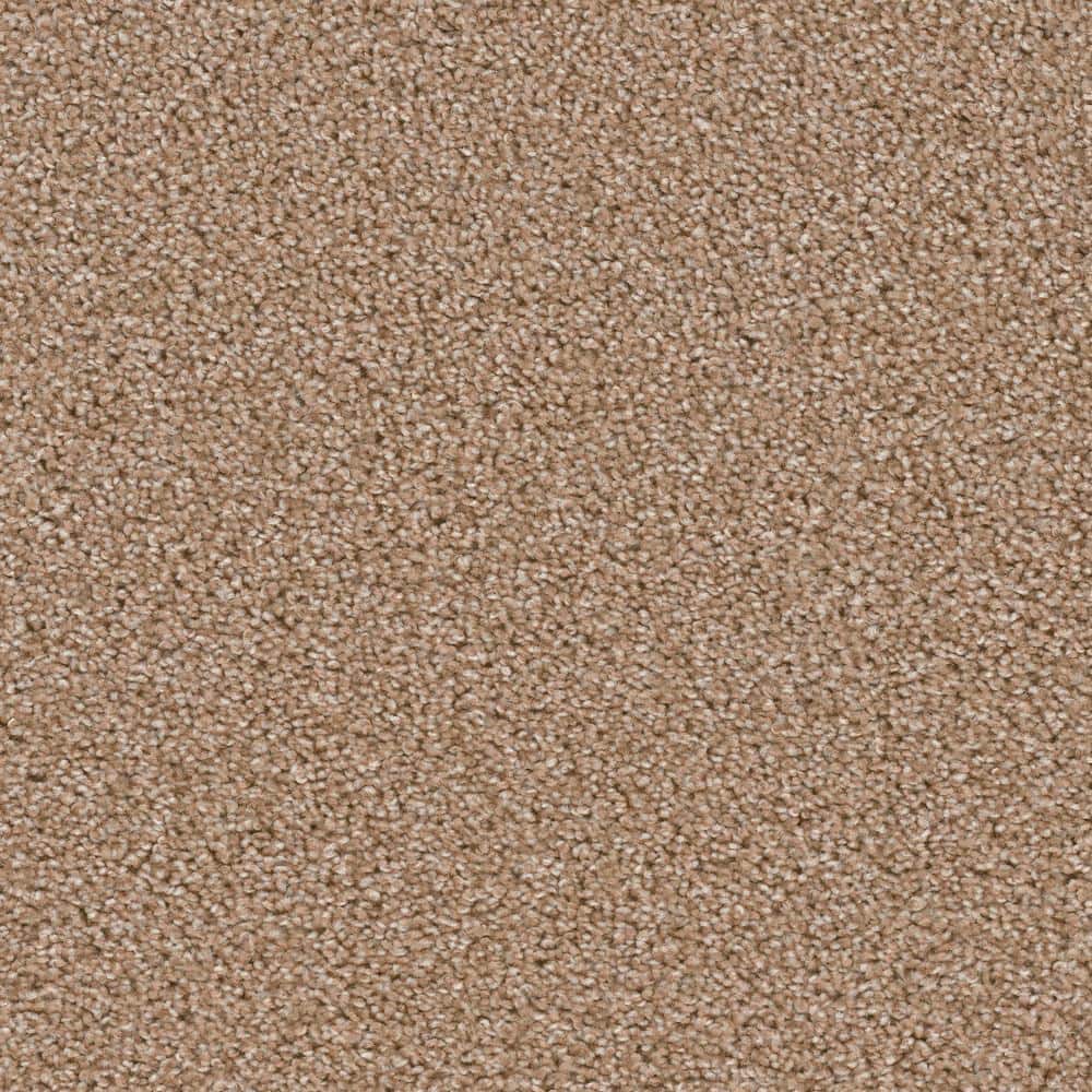 8 in. x  8 in. Texture Carpet Sample - Added Value -Color Pamper price history on PriceWatchPro