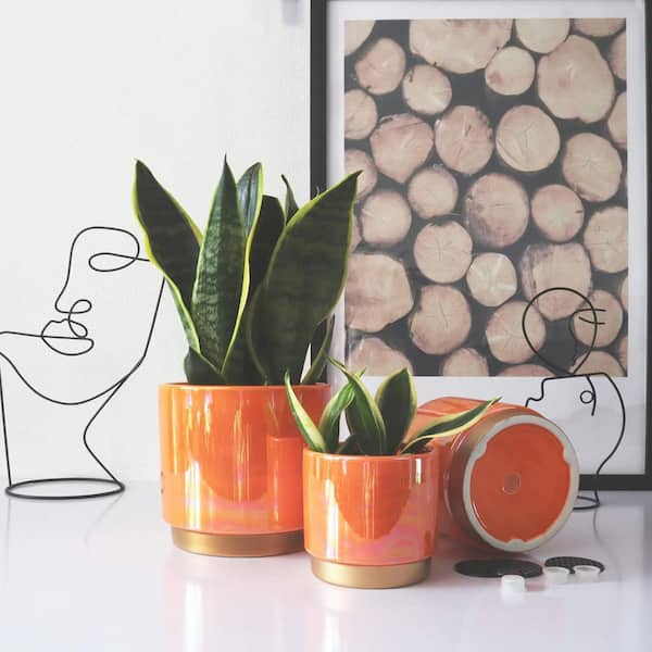 terra cotta plant pots English Wall Planter main image 1