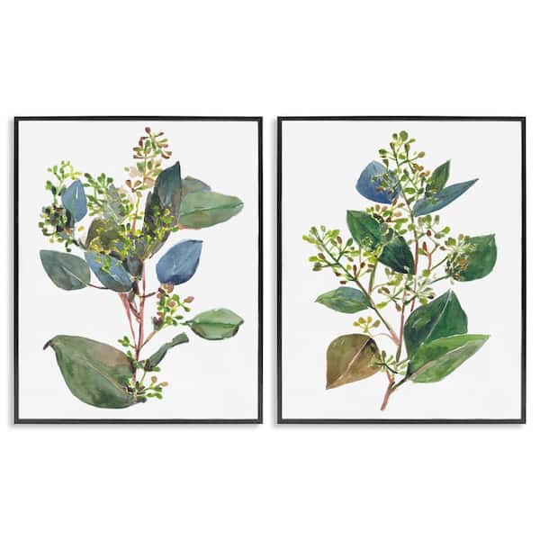 Soft Eucalyptus Plant Ombre Leaves by Melissa Wang 2-Piece Black Framed Giclee Art Print Nature 30 in. x 24 in.