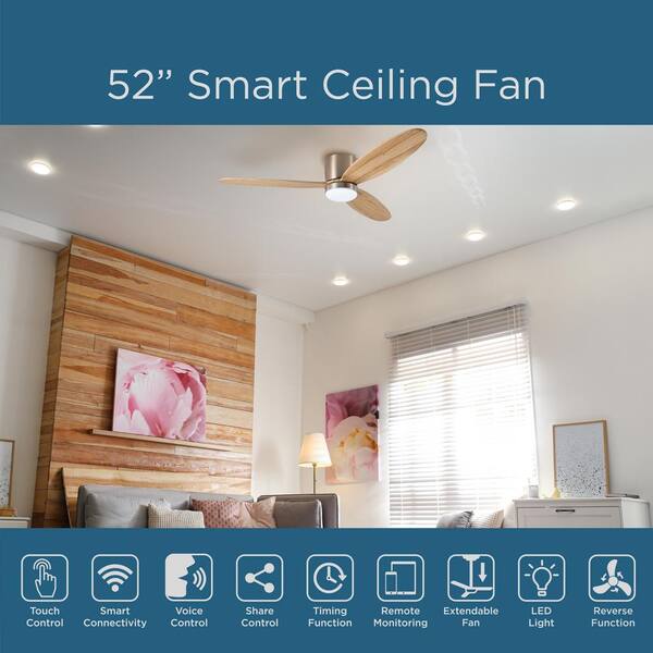 Alexa Ceiling Fan Light Bulbs Shelly Lighting
