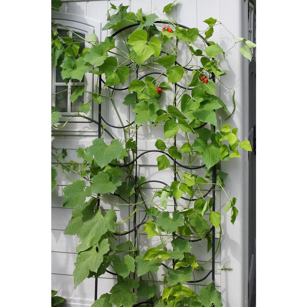 77-Inch Black Wrought Iron Wave Garden Trellis