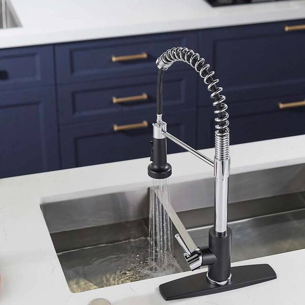 FORIOUS Single-Spring Handle Kitchen Faucet with Pull Down Function Sprayer  Kitchen Sink Faucet with Deck Plate in Black Chrome HH0024BCH - The Home  Depot