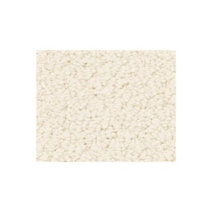 Dublin - Ivory Paper - Beige 39.3 oz. Nylon Loop Installed Carpet