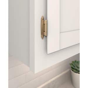 Champagne Bronze Variable Overlay Self Closing, Face Mount Reverse Bevel Cabinet Hinge (2-Pack)
