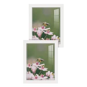 Modern 8 in. x 10 in. White Picture Frame (Set of 2)