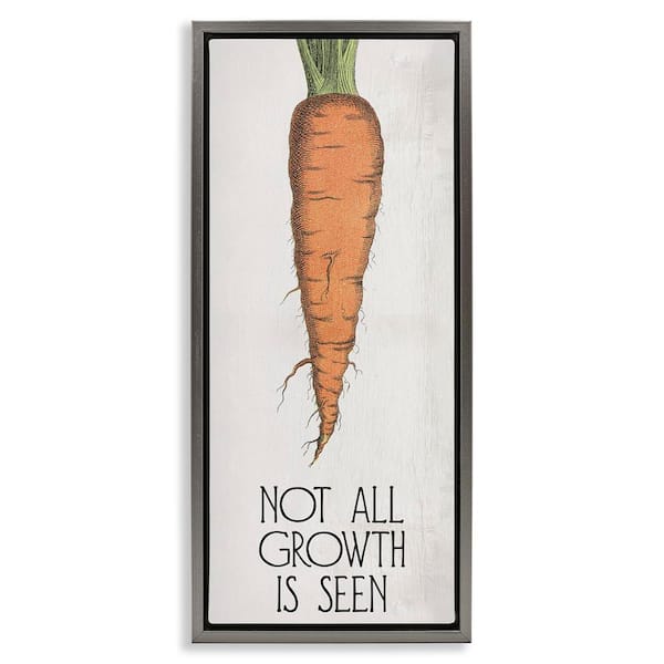 Stupell Industries Carrot and Inspiring Growth by Daphne Polselli Gray Floater Frame Food Graphic Art Print 31 in. x 15 in.