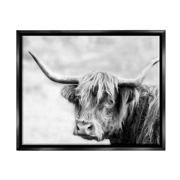 The Stupell Home Decor Collection Bold Country Cattle Photography Wild Animal by Danita Delimont Floater Frame Animal Wall Art Print 25 in. x 31 in.