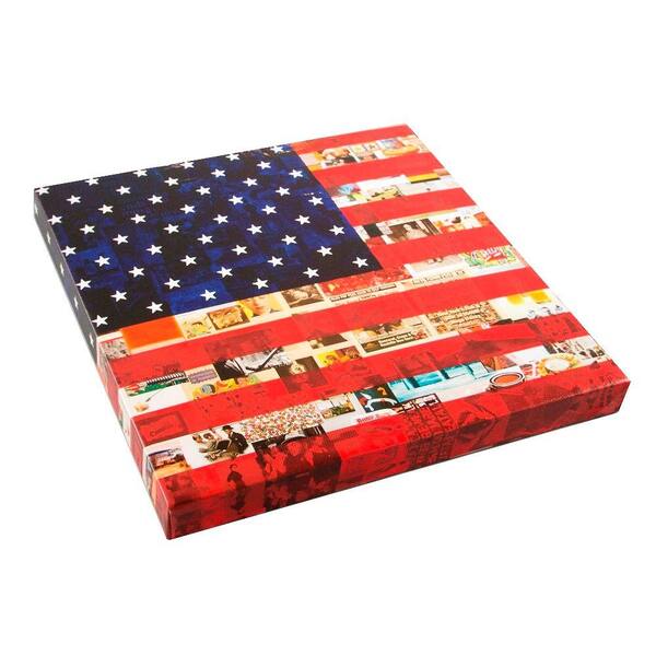 Onsia 24 in. x 24 in. US Flag Museum Wall Art with Wrap Speaker