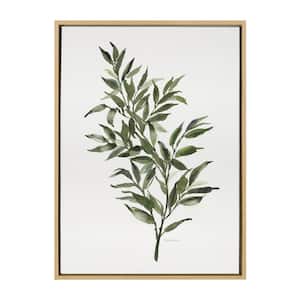Ruscus by Patricia Shaw Framed Nature Canvas Wall Art Print 33.00 in. x 23.00 in.