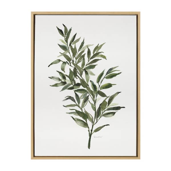 Kate and Laurel Ruscus by Patricia Shaw Framed Nature Canvas Wall Art Print 33.00 in. x 23.00 in.