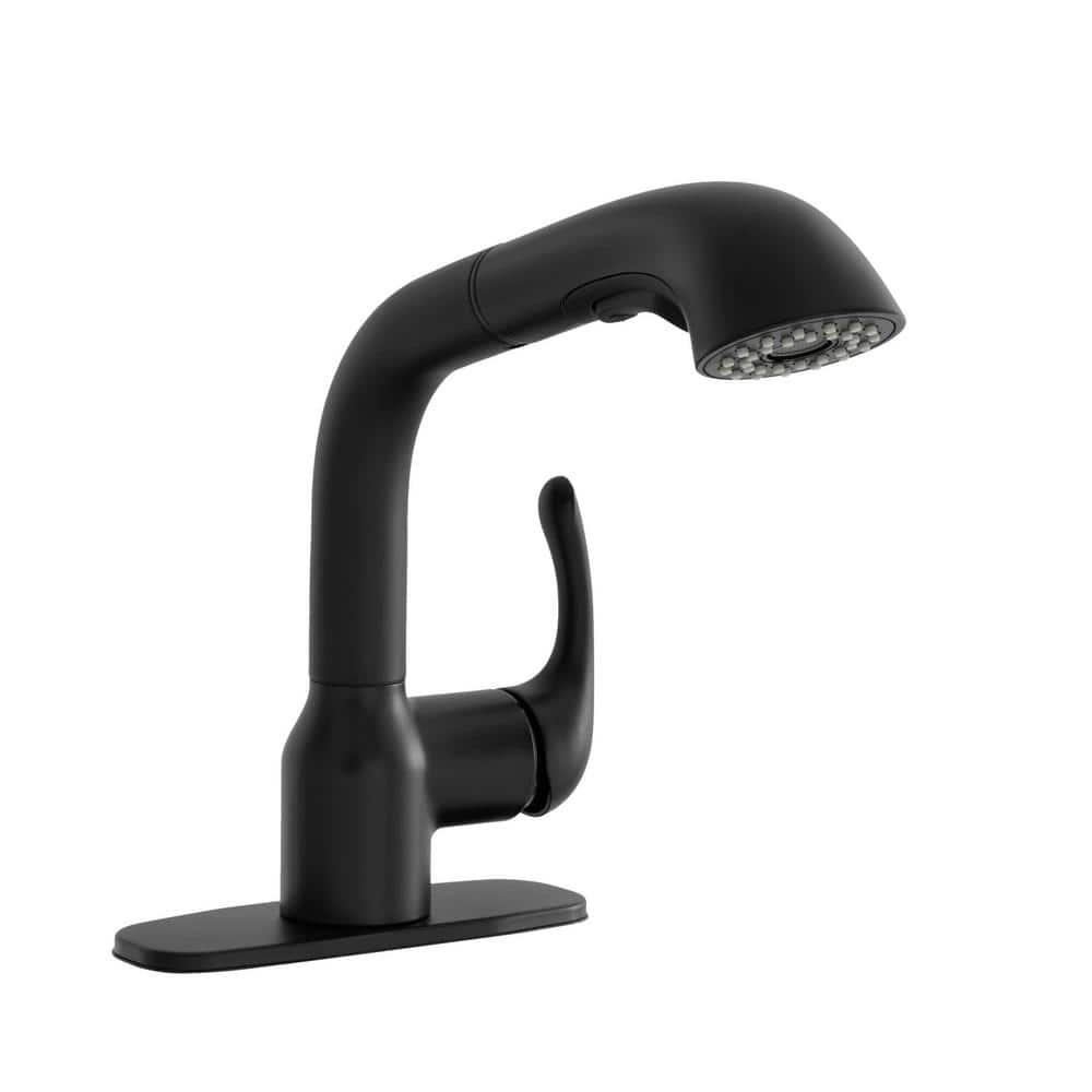 Dunning Single-Handle Pull-Out Laundry Utility Faucet with Dual Spray Function in Matte Black