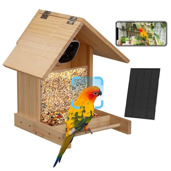 Solar Smart Bird Feeder with Camera, 1080P HD AI Identify Bird Watching Camera