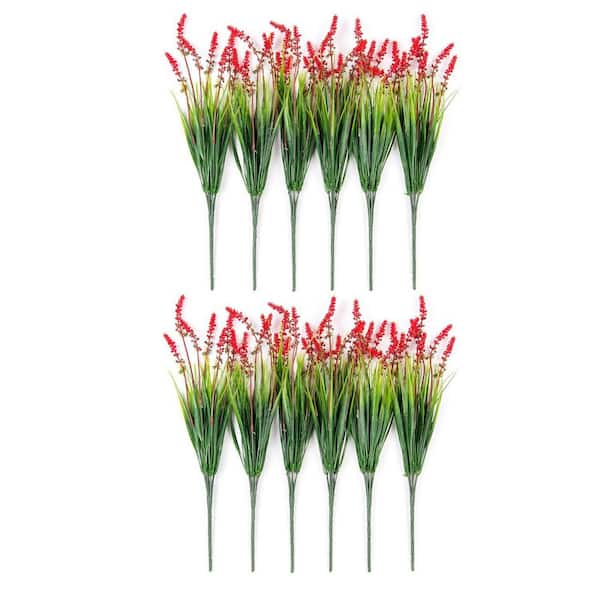 Monkey Grass Home Depot