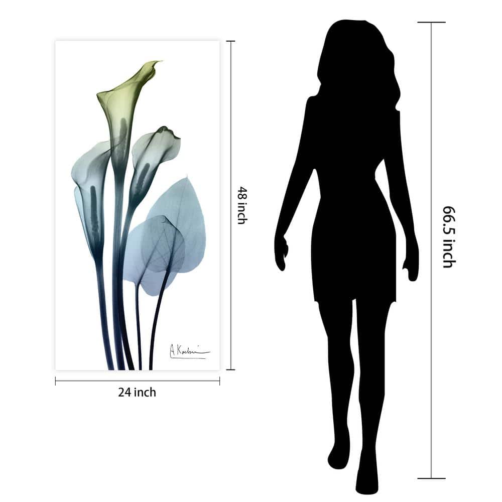 Calia Lily X-Ray Tempered Glass Wall Art, 24" x 48"