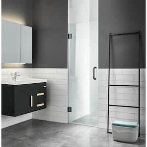 Passion 24 in. W x 72 in. H Pivot Frameless Shower Door/Enclosure in Matte Black with Tsunami Guard Clear Glass