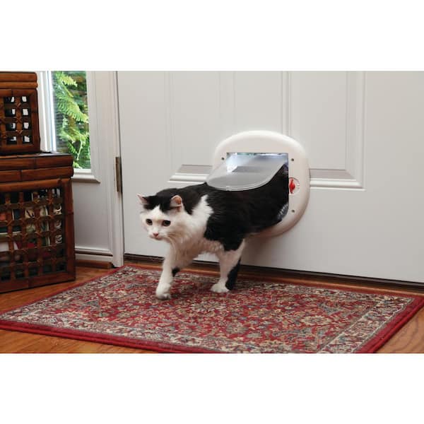 Petsafe large outlet cat door