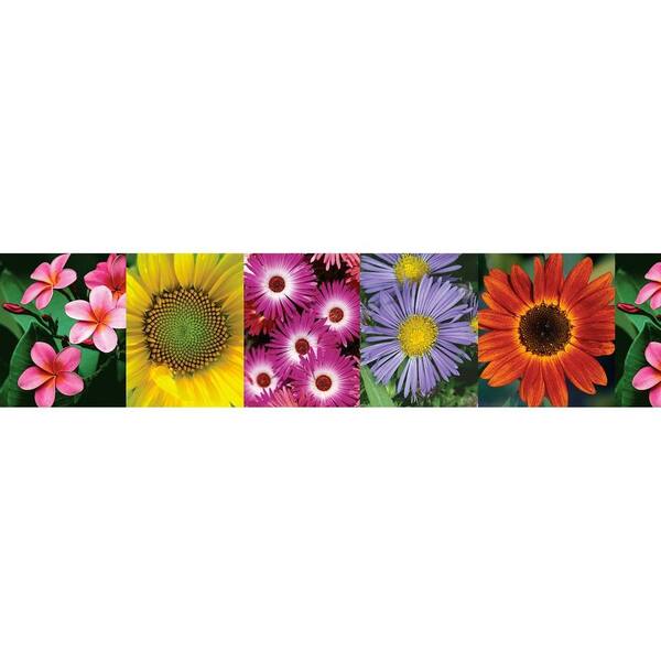 National Geographic Flower Wallpaper Border Sample