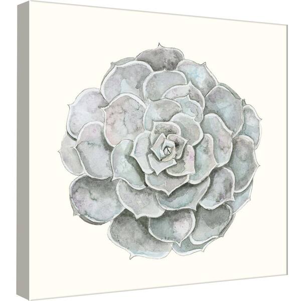 PTM Images 15 in. x 15 in. ''Tropical Botanicals 2'' Printed Canvas Wall Art