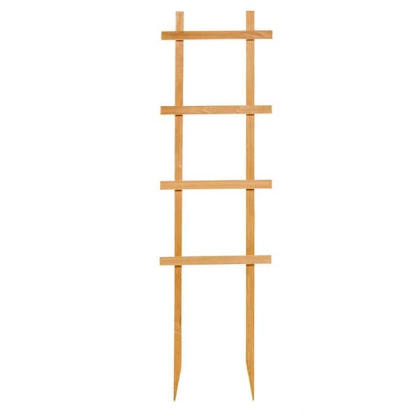 Unbranded 12 in. W x 42 in. H Wood Rectangle Trellis