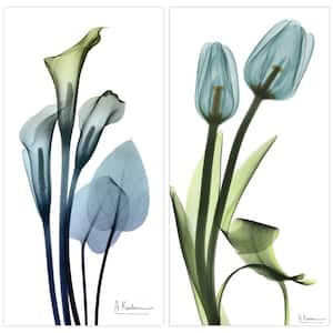 Calla Lily & Blue Tulips Frameless Free Floating Tempered Glass Graphic Flower Wall Art Set of 2, each 72" x 36"