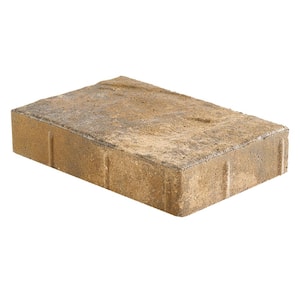 Taverna Rec 11.81 in. L x 7.87 in. W x 1.9 in. H Amelia Blend Concrete Paver (192-Piece/124 sq. ft./pallet)