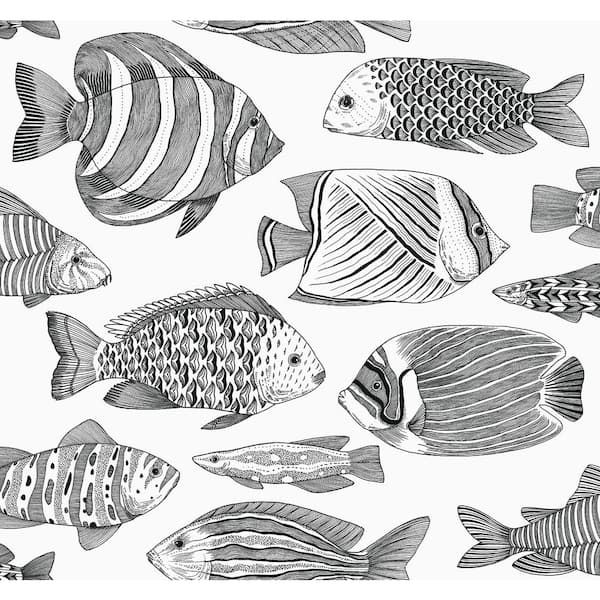 A-Street Prints Wailea Black Tropical School Wallpaper Sample