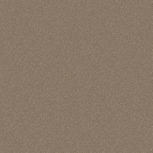 Watercolors I - Concrete - Beige 28.8 oz. Polyester Texture Installed Carpet
