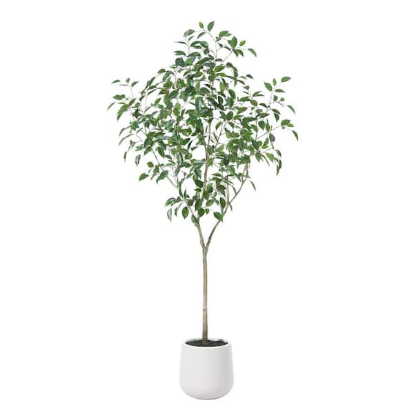 DR.Planzen 6 ft. Artificial Ficus Tree with Oval White Planter, Pre Potted Faux Greenry Plant for Home Decor
