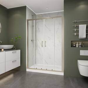 50 in. - 54 in. W x 70 in. H Sliding Framed Alcove Shower Door Bath Panel in Nickel Finish with Clear Glass